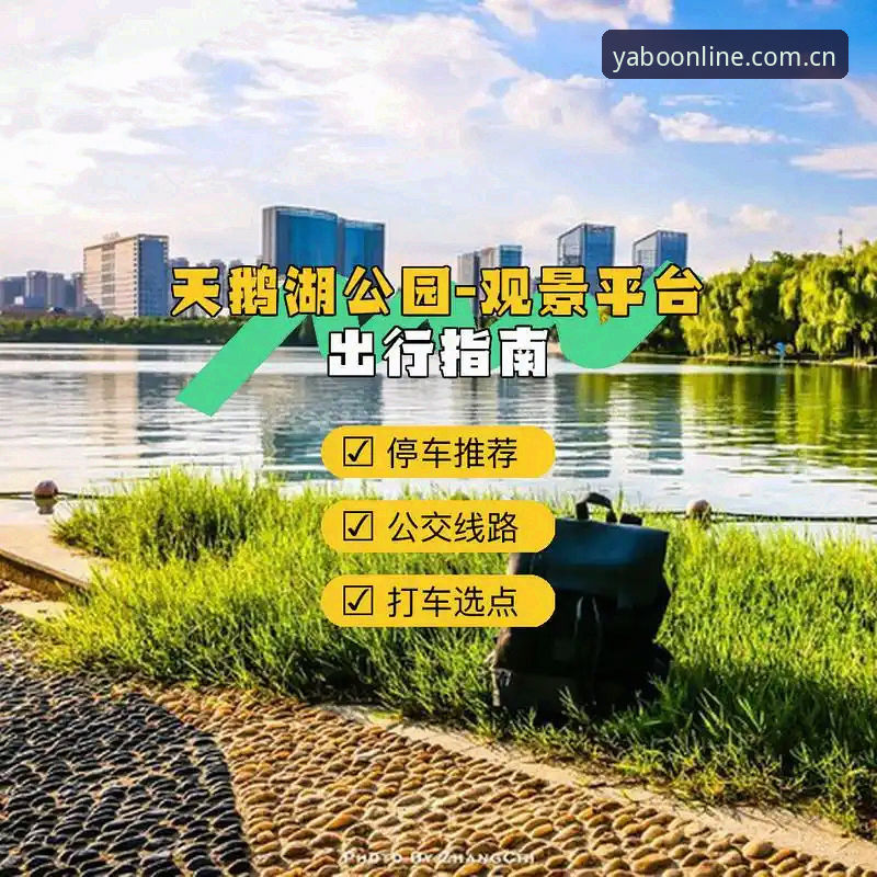 亚博体育平台功能全面解析：从下载到使用的完整指南